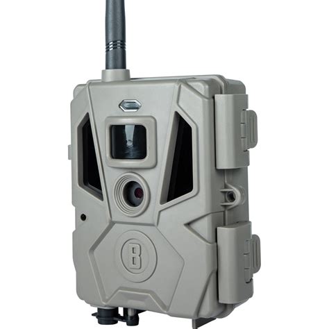 cellular trailcam